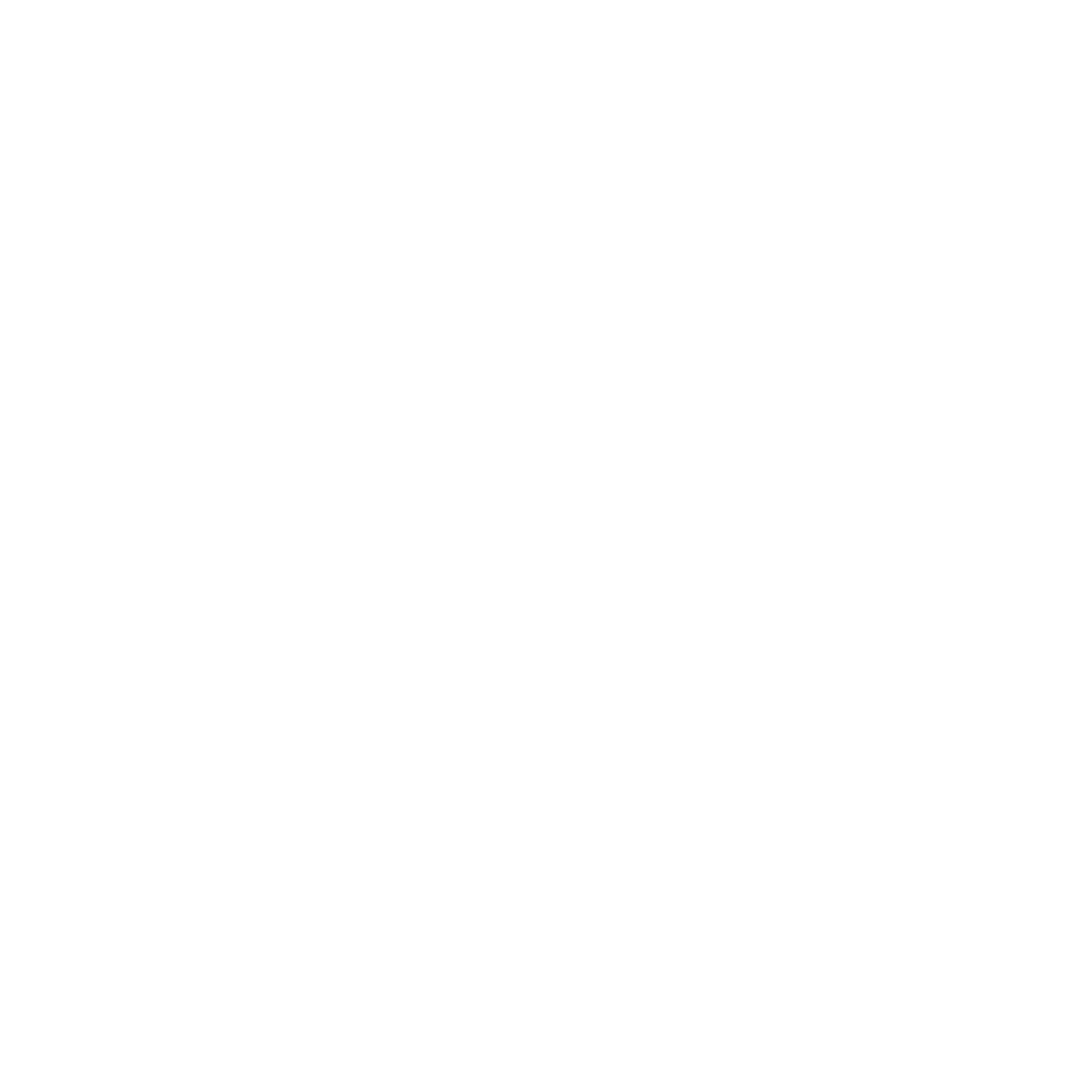 Flytimeless logo